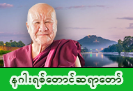 နဂါးရစ်တောင်ဆရာတော် အရှင်ဝိသုဒ္ဓ ဓာတ်ပုံ